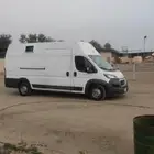 عربة نقل خيل بيجو Vip متواجدة بتبوك