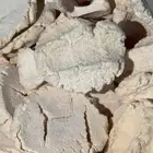 مضير غنم ع الشرط