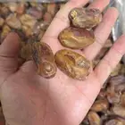خلاص حساء