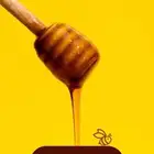 عسل   سدر صافي
