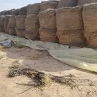 اعلاف رودس حويل العدد 1333