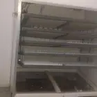 فقاصه980 بيضه