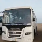 باصات اشوك لاند