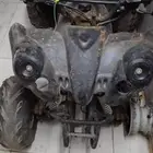 دباب