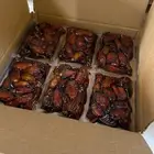 تمر كراتين صفري 35 ريال
