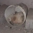 دجاجه محظنه