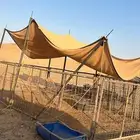 عرض