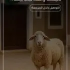تطلب ذبيحتك ونوصلها لك
