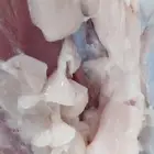 حاشي يوم الثلاثاء