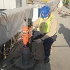 الرياض