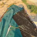سماد دواجن سماد بقر