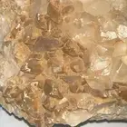 نوادر التحف الطبيعية