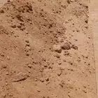 تربه زراعية ودفان رقم 1 رمل احمر ازفلت مقشور
