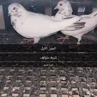 حمام زينه وحمام بكستاني