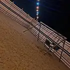 مخيم السحاب للإيجار