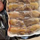 طيور صفاري
