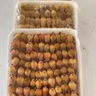دخل مشحم