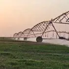 موظف ذو خبره في التواصل الاجتماعي