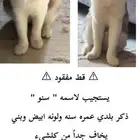 بالله اللي يشوفه لا يبخل باتصال او رساله واتس اب .