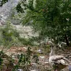 وز زوج بخير مايعاني من شيء