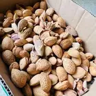 لوز الباحة بلدي