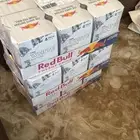 نشتري جميع النكهات ردبل دايت حلاو سي سي كابتشينو