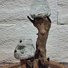 حوض سمك خشب طبيعي 100