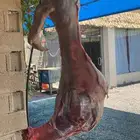 معلم مشويات عراقيه