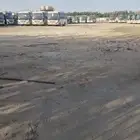 معارض ومزادات