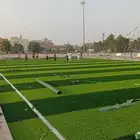 عشب ملاعب كوره قدم