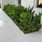 أشجار زينة تنسيق حدائق تشجير ممرات نباتات الزينة