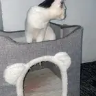 بسه لتبني