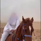 حصان