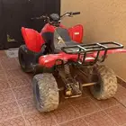 دباب