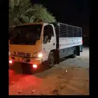 دنه توصل مشاوير