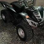 دباب
