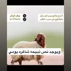 ذبيحتك لباب بيتك