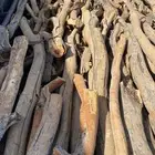 رياض الخبراء