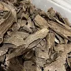 قواقع فتنامي