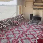 كرفان شينكو سحب الطول 11م