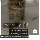 سكوتش