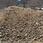 يوجد دفنيه