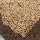 بر عضوي نظيف