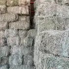 برسم مخلوط رودس