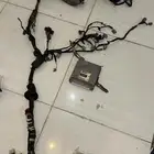ضفيره ومع كمبيوتر كامري مديل 89 إلى 2002