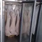 يوجد لدينا لحم بقر و تيس باكستاني يومي مجمده ولذيذه