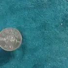 للبيع عملات قديمه