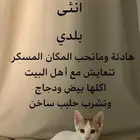 قطوة بلدي