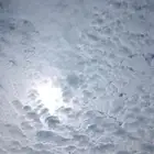 فروخ
