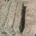بلوبنك ناعم شد ووزن